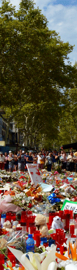 La-Rambla-Agost-17
